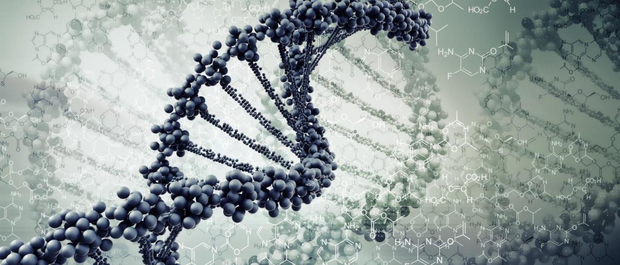 Zaostřený Ultrasonicator pro malé objemy