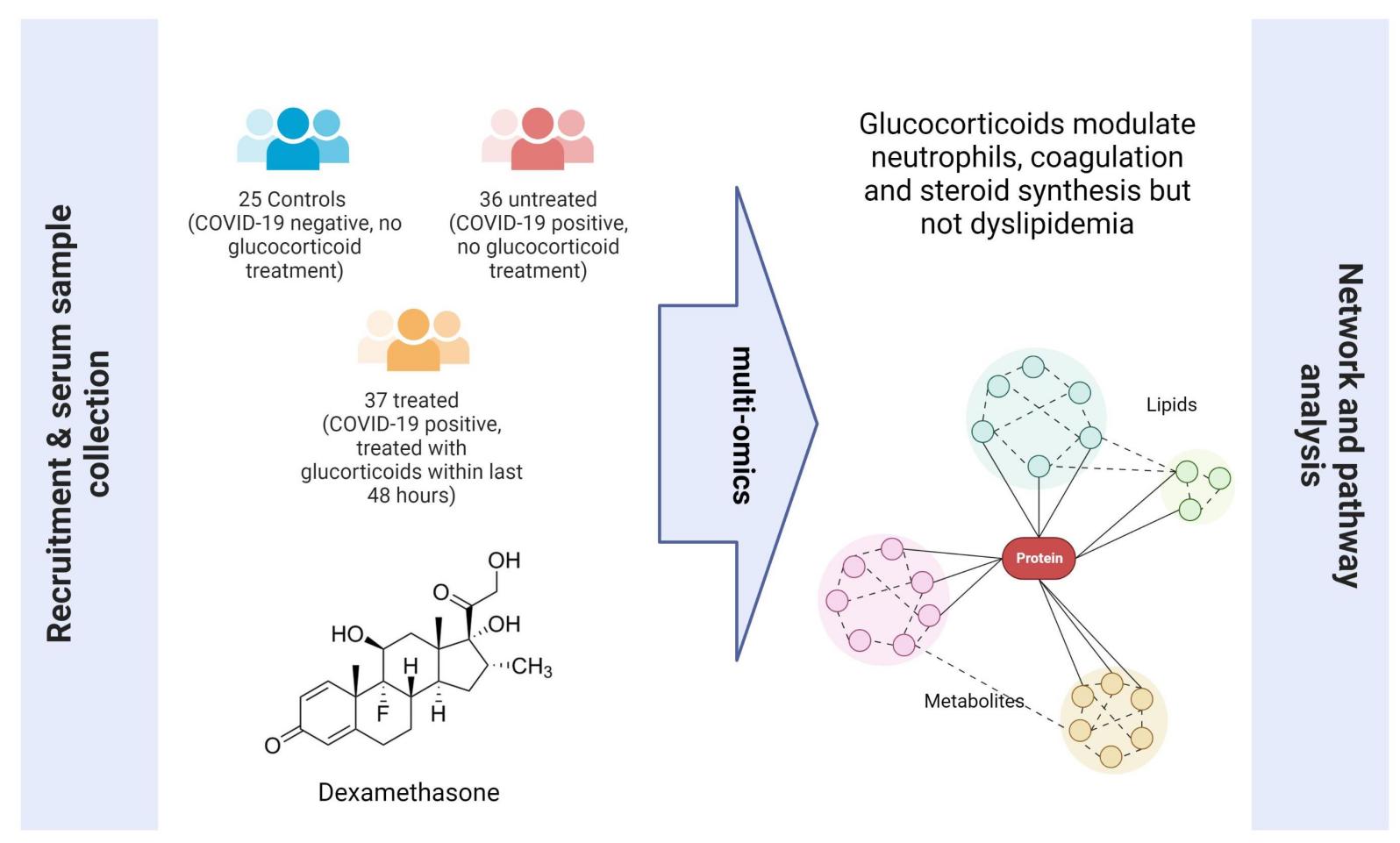 Vysoce výkonný ultrasonicator pro laboratoř