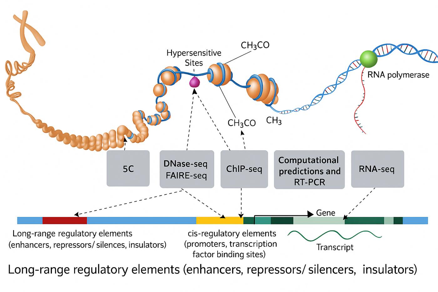 Sonikátor pro laboratoře molekulární biologie