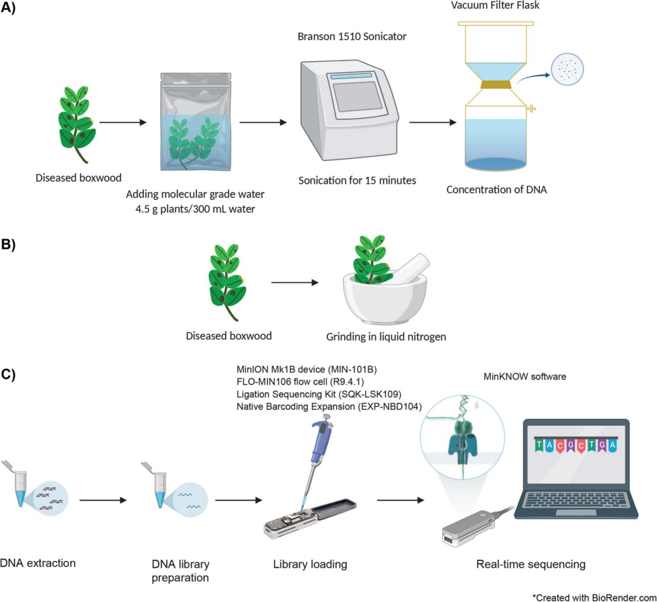 Ultrazvukový homogenizátor
