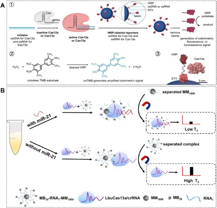 Magnetický separační systém