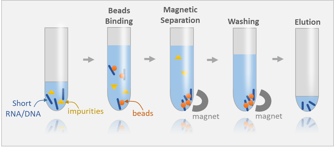 Magnetický stojan pro izolaci RNA