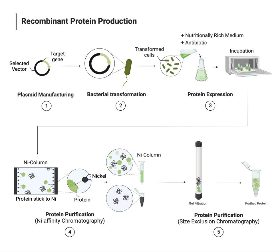 Magnetický separator pro čištění proteinů