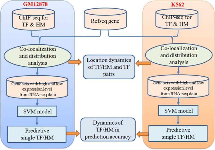 Služby sekvenování čipů