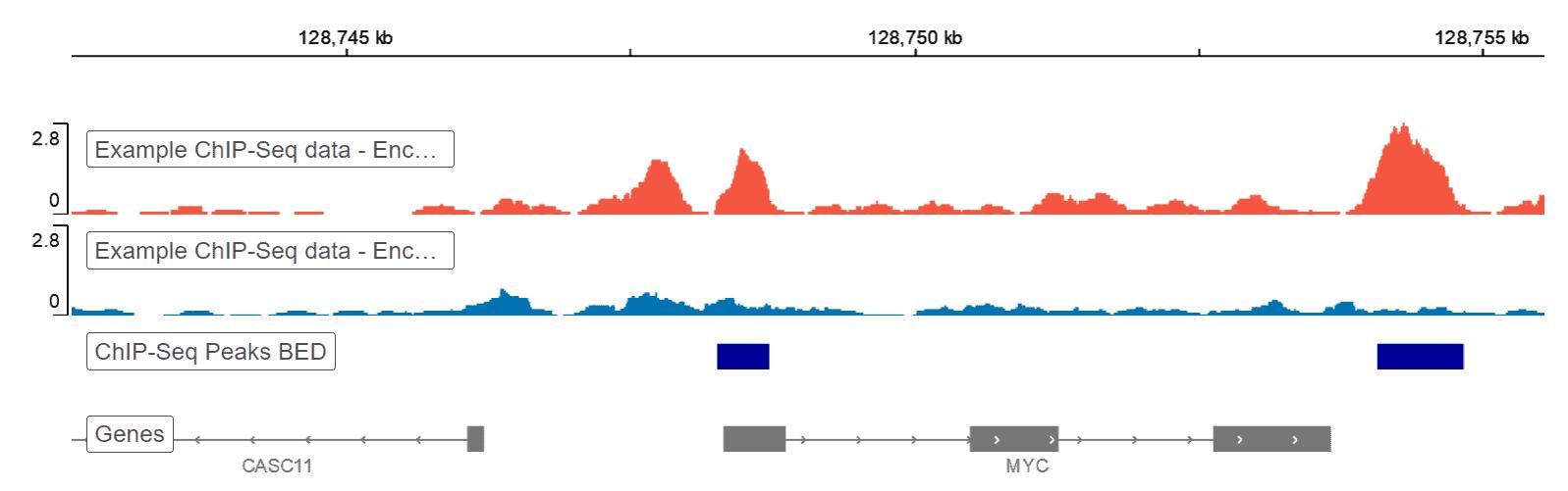 Pipeline analýzy dat ChIP-Seq