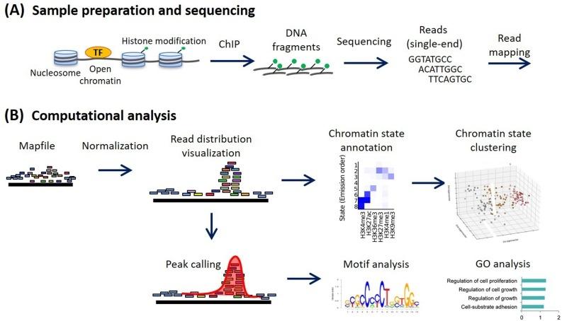 Řešení problémů s ChIP-Seq