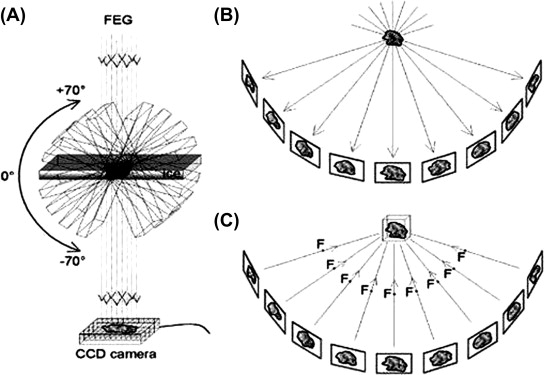 Kryoelektronová tomografie (Cryo-ET)