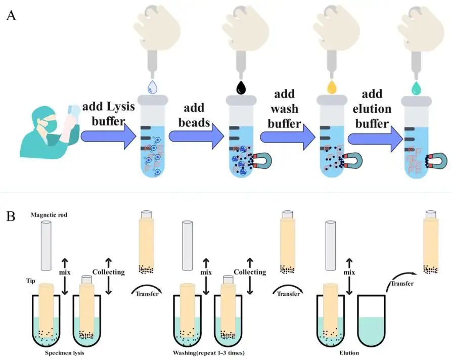 Magnetický separátor pro čištění nukleových kyselin