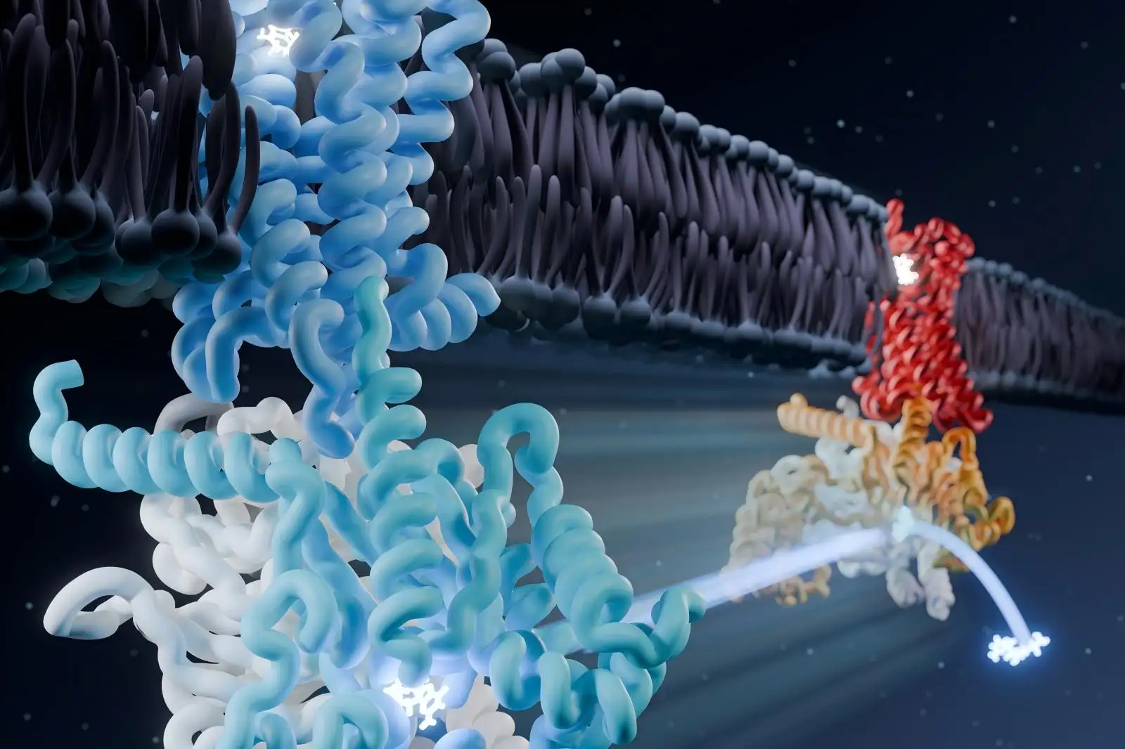 Laboratorní ultrazvukové zařízení pro zvukovou energii Super rychlý prefabrikovaný gel pro gelovou elektroforézu Zařízení pro separaci magnetických buněk DNA fragmentace DNA elektroforéza – magnetická separace pro molekulární biologii RNA gelová zobrazovací platforma Magnetické zařízení pro separaci magnetických buněk GPCR exprese a purifikace membránových proteinů Nukleový sběrač kyselin